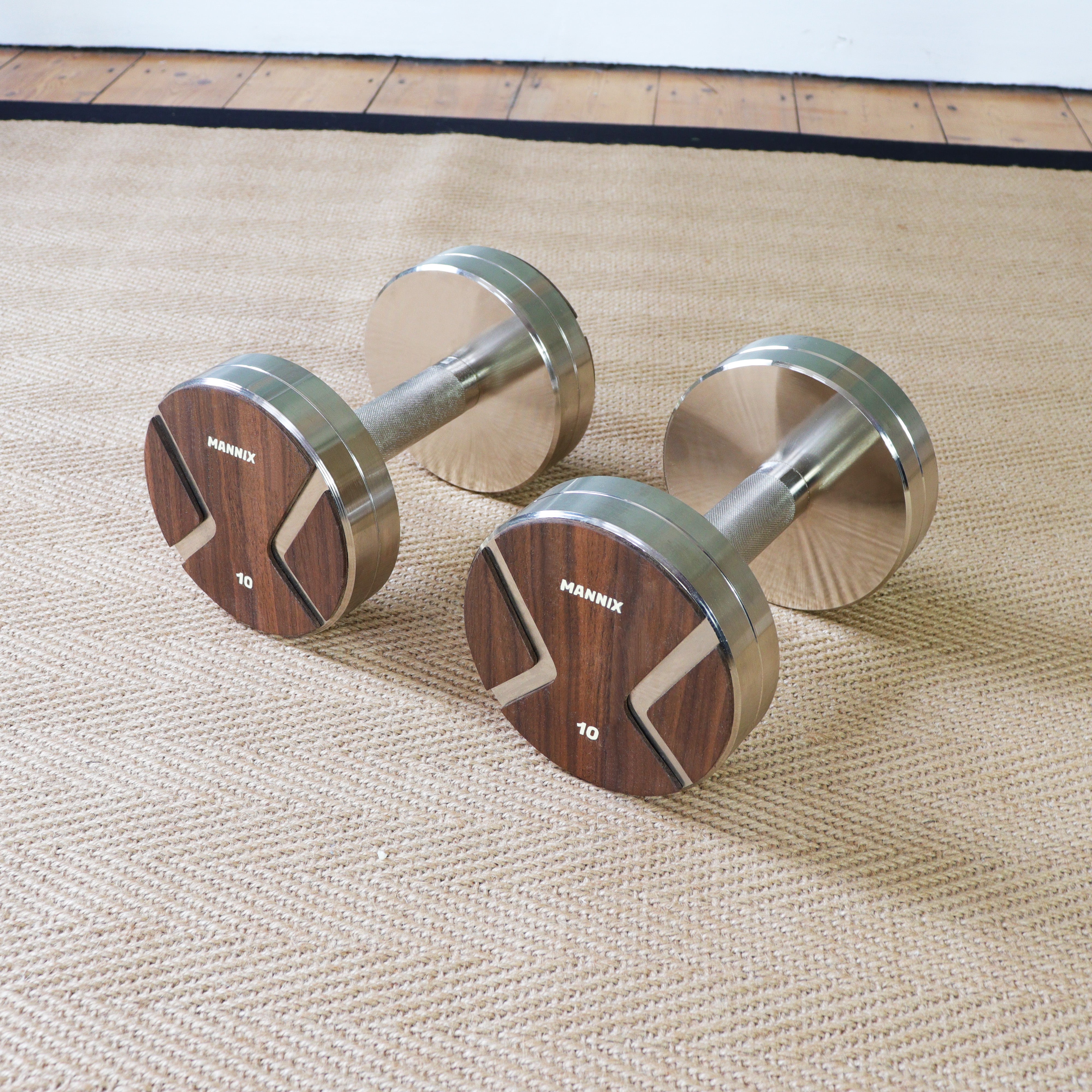 10 kg steel dumbbells pair 2024 price